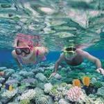 Snorkling
