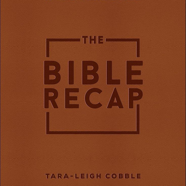 The Bible Recap: A One-Year Guide to Reading and Understanding the Entire Bible, Deluxe Edition - Brown Imitation Leather