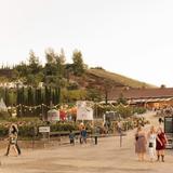 Peltzer Winery