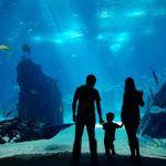 Audubon Zoo and Aquarium
