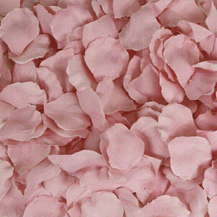 The Wedding Website of Isaiah Nurse and Aleena Edwards