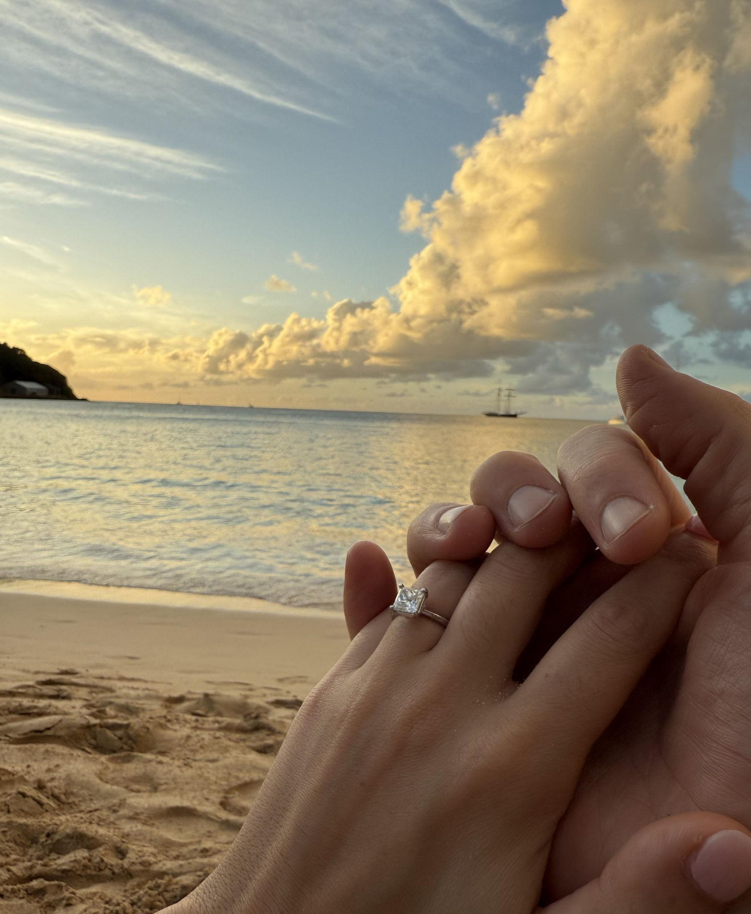 The Wedding Website of Dimitra-Sofia Bakirtzi Nemerovsky and Jeffrey Michael Garcia