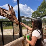 Texas Zoofari Park