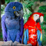 Sedgwick County Zoo