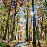 Mercer County Park