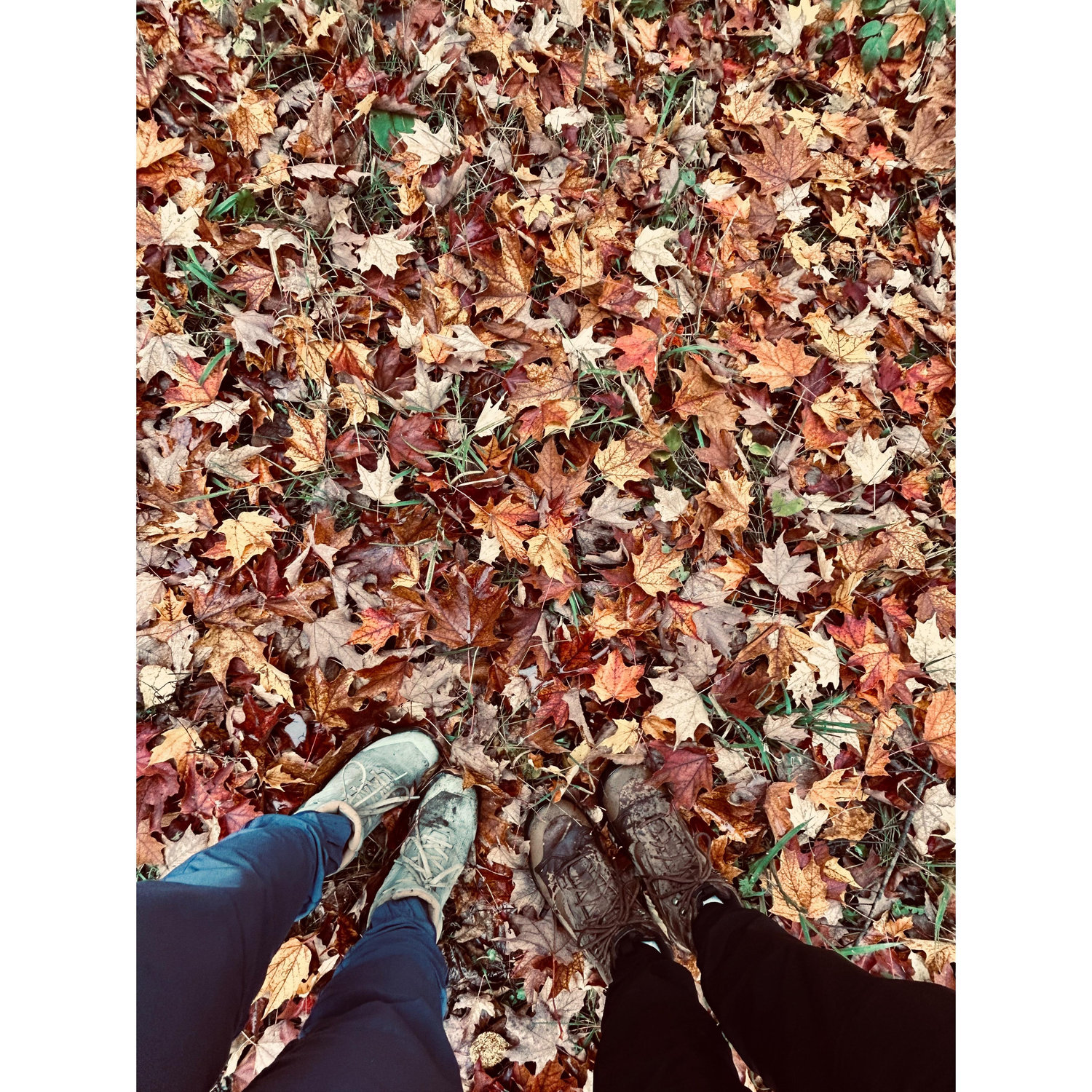 The Wedding Website of Kelsey Sorensen and Clinton Fox