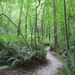 Carkeek Park