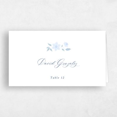 Blue Bordered Wedding Place Card - Eudora