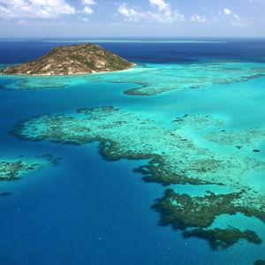 Great Barrier Reef Snorkeling Tour