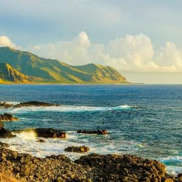 Our Hawaiian Honeymoon Fund