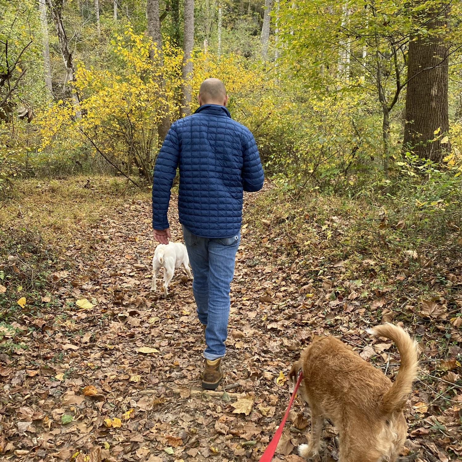 Leaf peepin’ our first fall in Charlottesville together with the pups.
