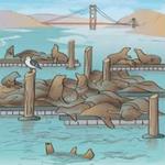 Pier 39