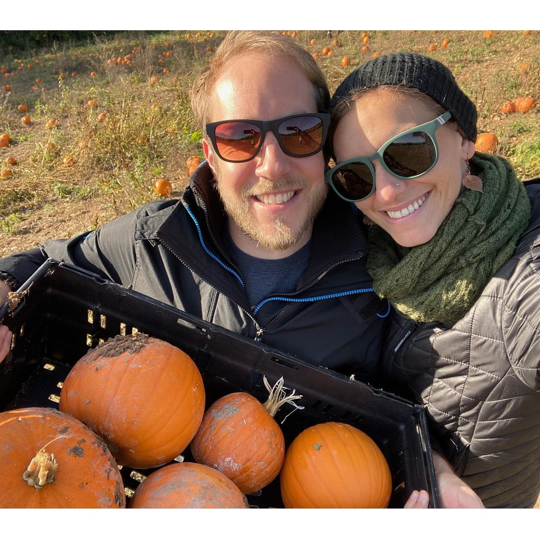 Hampshire pumpkin pickin' for Kate's favorite holiday!