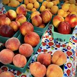 Skagit Valley Farmers Market