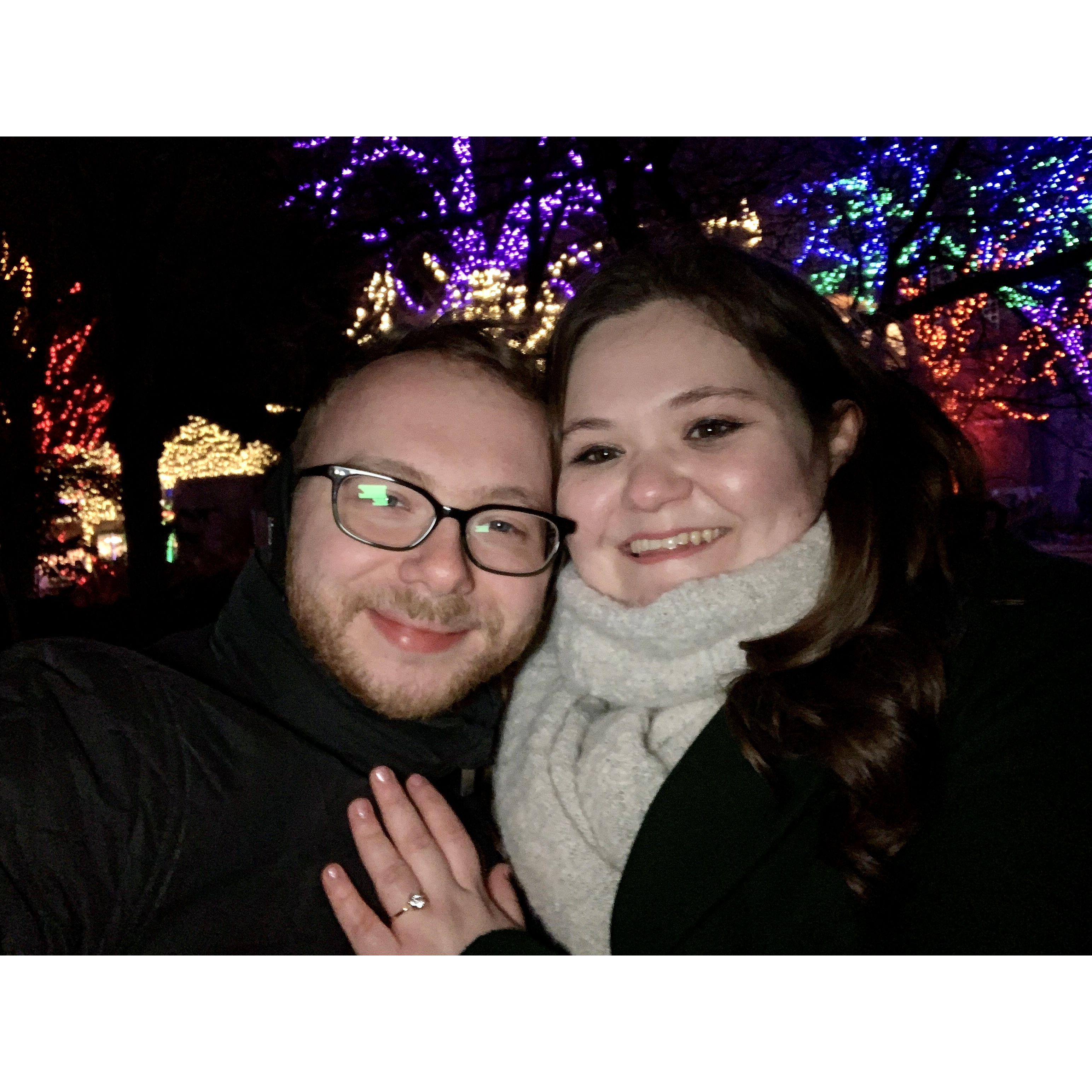Engagement at Lincoln Park Zoo Lights in Chicago: 12/9/2023