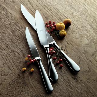 Steak Knife, Set of 4