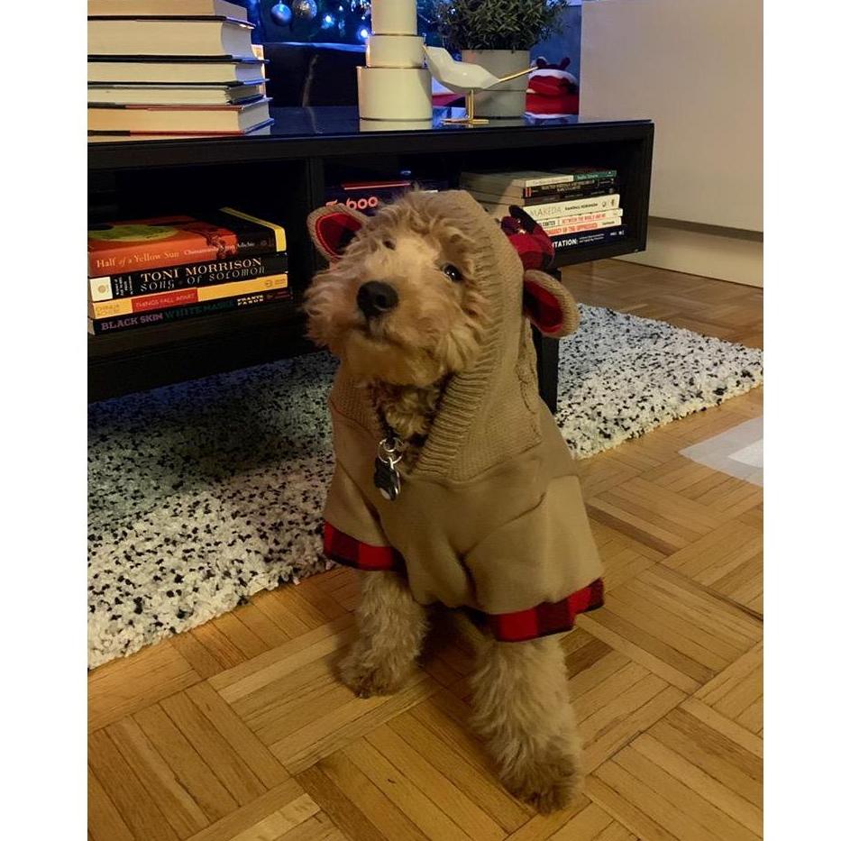 The antlered sweater that Diego hates, but his parents absolutely love