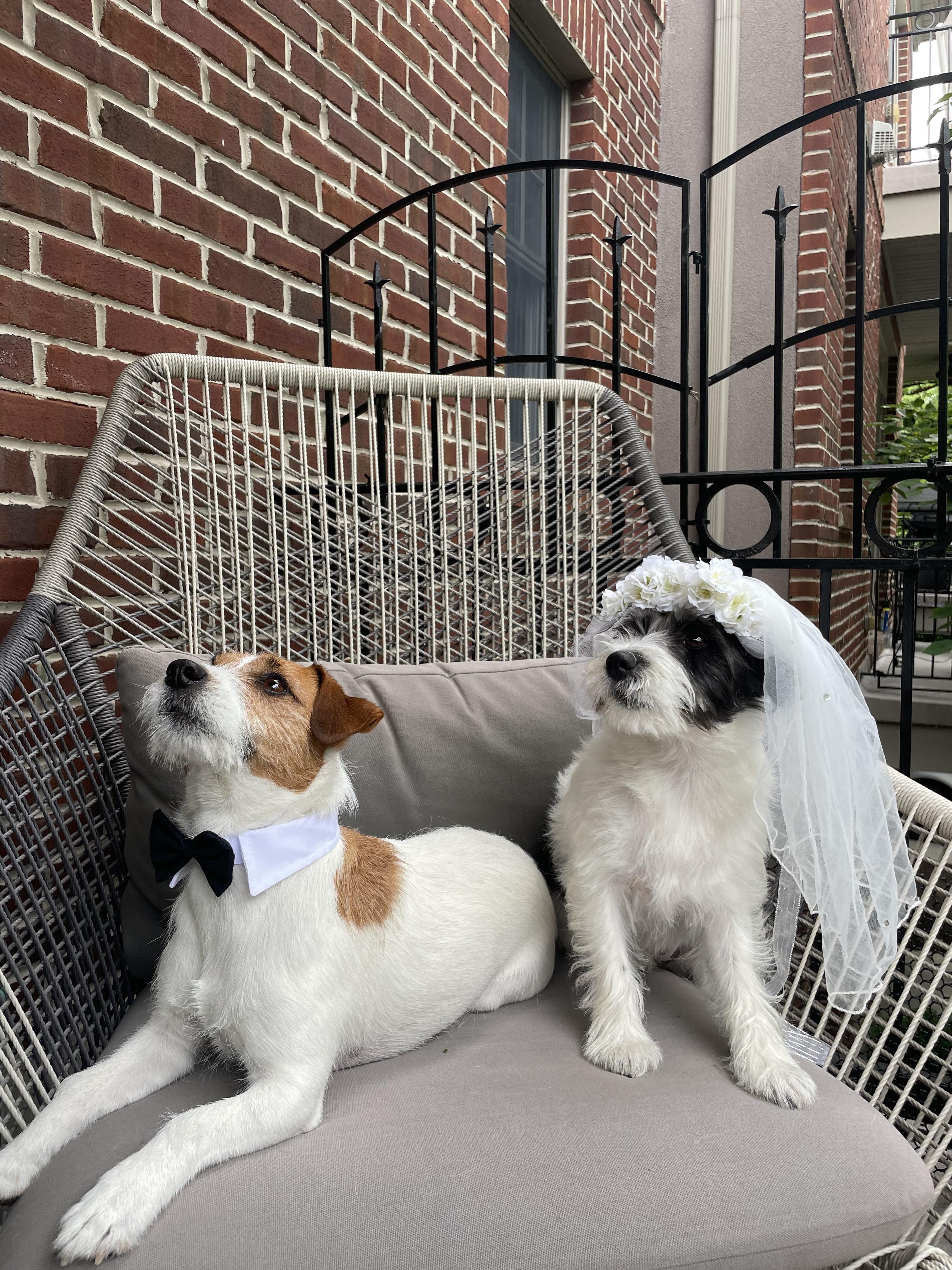 The Wedding Website of Jill McElvarr and John McElvarr