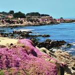 Take a Walk Along Oceanview Boulevard