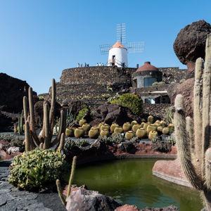 César Manrique Art & Nature Tour (Lanzarote)