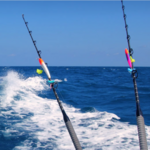 Sport Fishing Trips