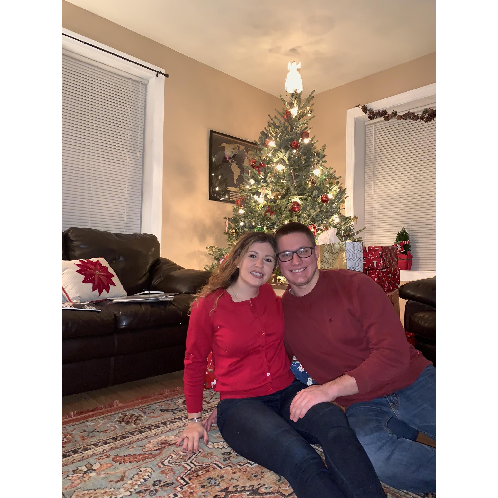 First Christmas in our apartment 2019