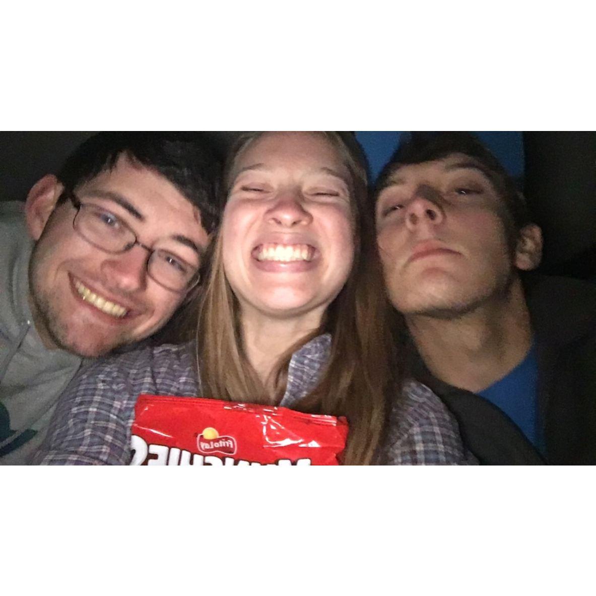 2017 - Meadow Lights show