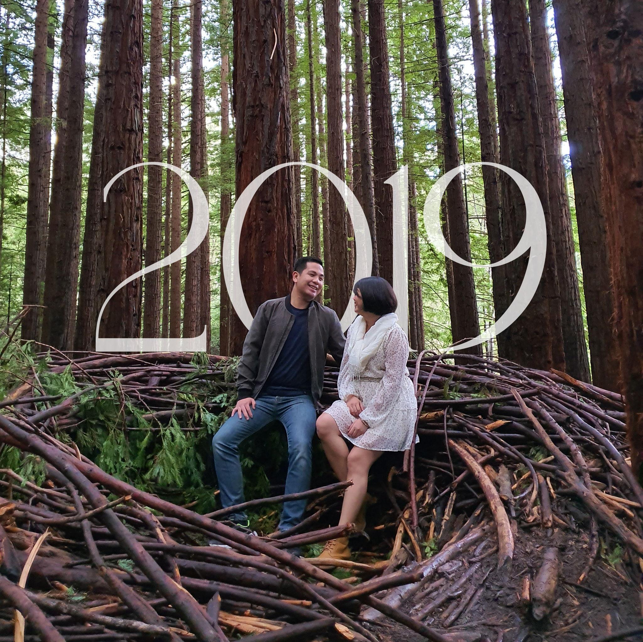 Redwood Forest, Warburton VIC