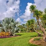 Fairchild Tropical Botanic Garden