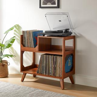 Asheville Medium Record Storage Console