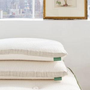Molded Latex Pillow - Standard