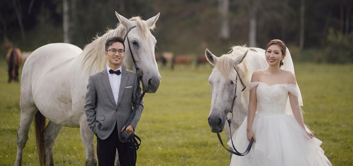 The Wedding Website of Tom Liu and Sherry Cai