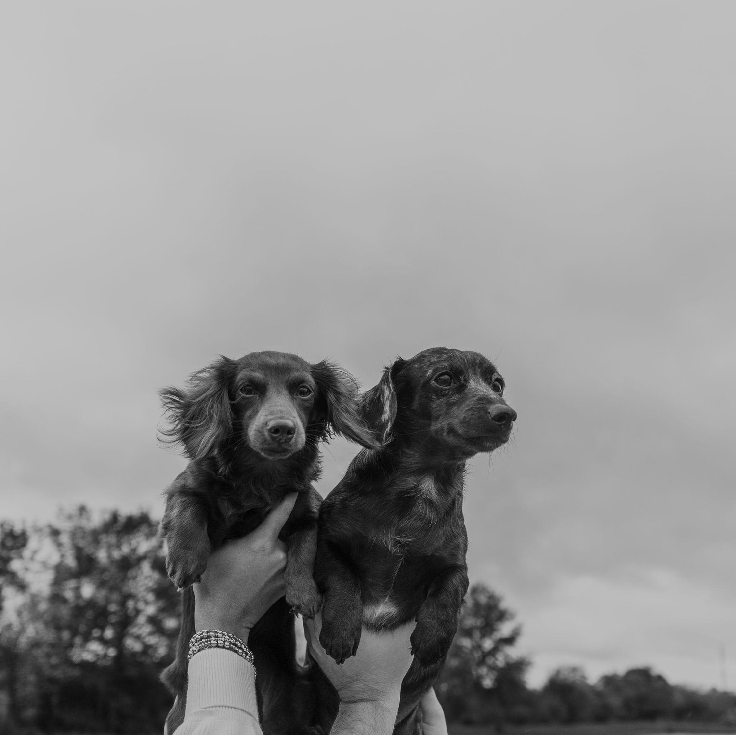 The Wedding Website of Kate Fehres and Kyler Teykl