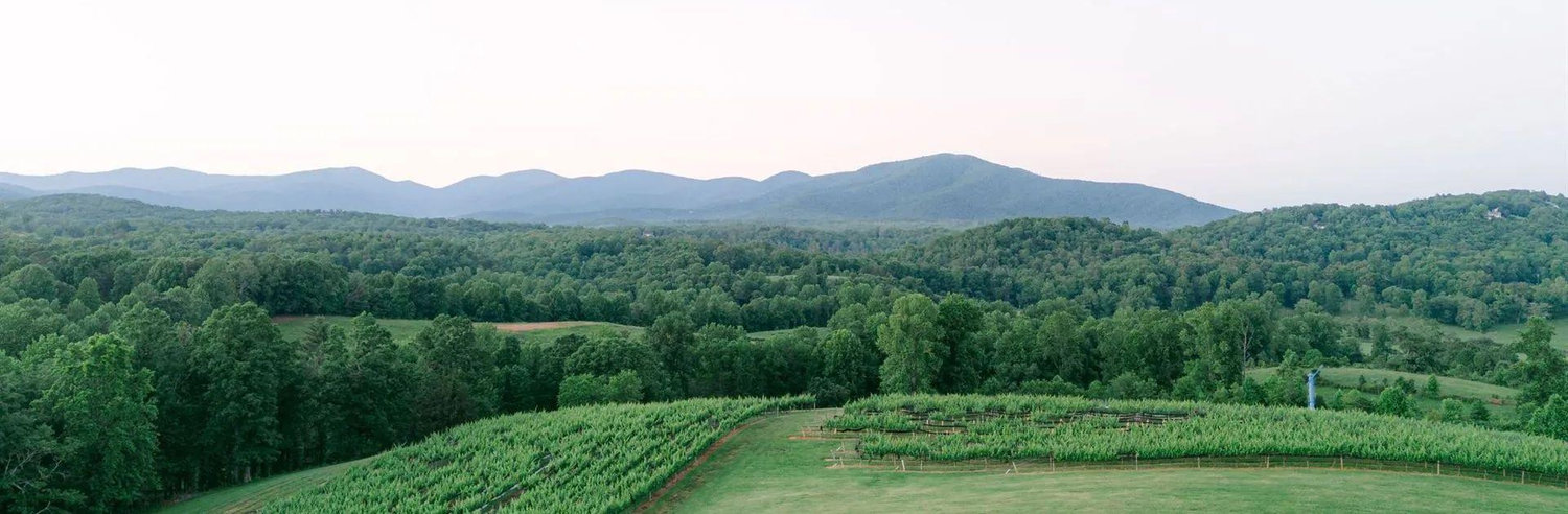 The Wedding Website of Danielle Snyder and Griffin Stinson