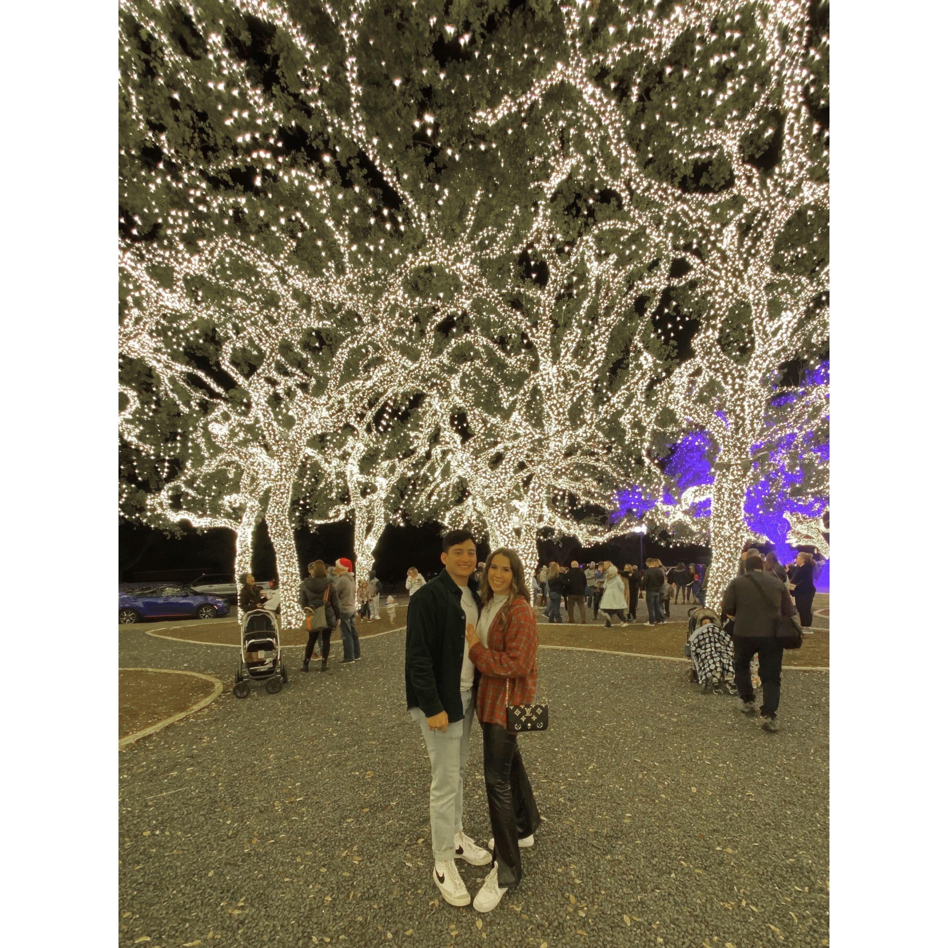Our annual Johnson City lights in 2021