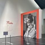Virginia Museum of Fine Arts