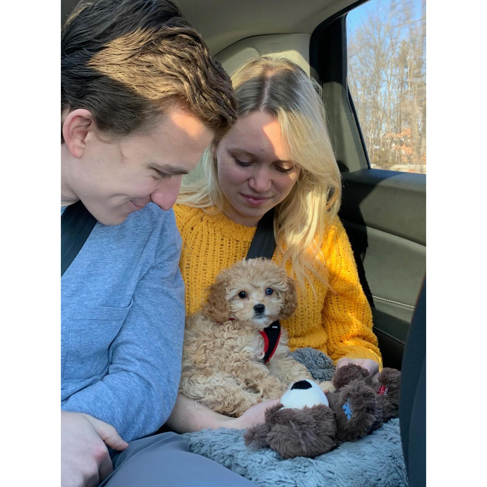 The day we brought Buttercup home