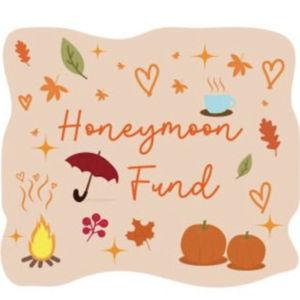 Our Honeymoon Fund