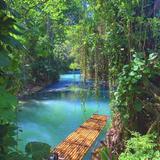 Martha Brae River Rafting