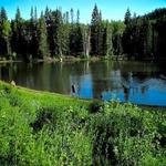 Millcreek Canyon
