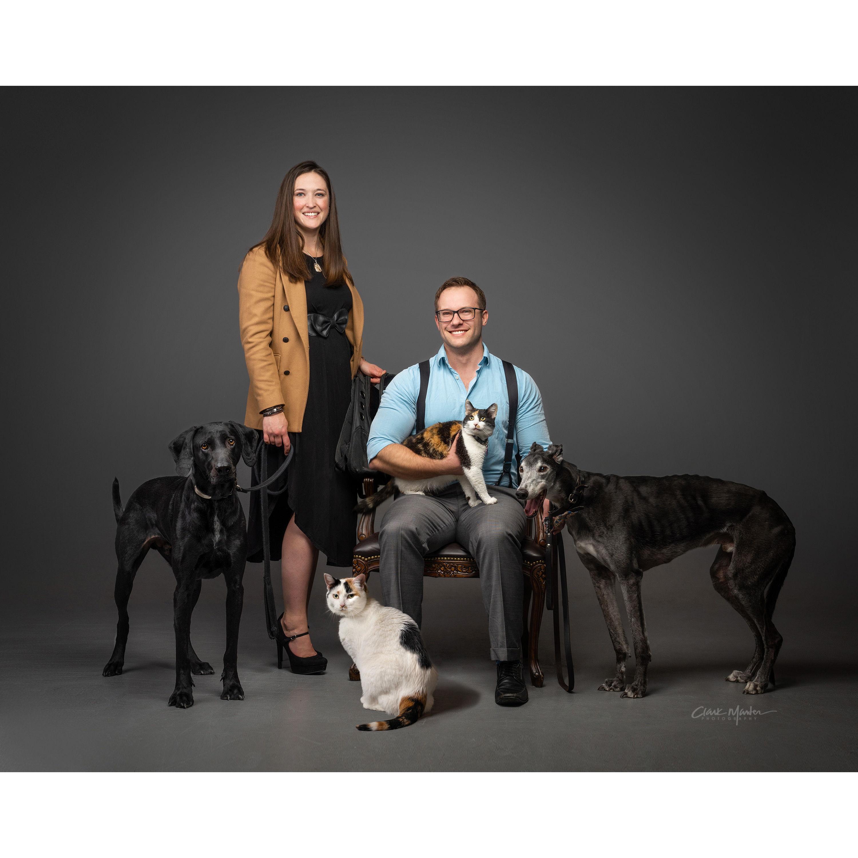 Ender, KitKat, Kona, Charlie (from left to right) Group portrait definitely not photoshopped