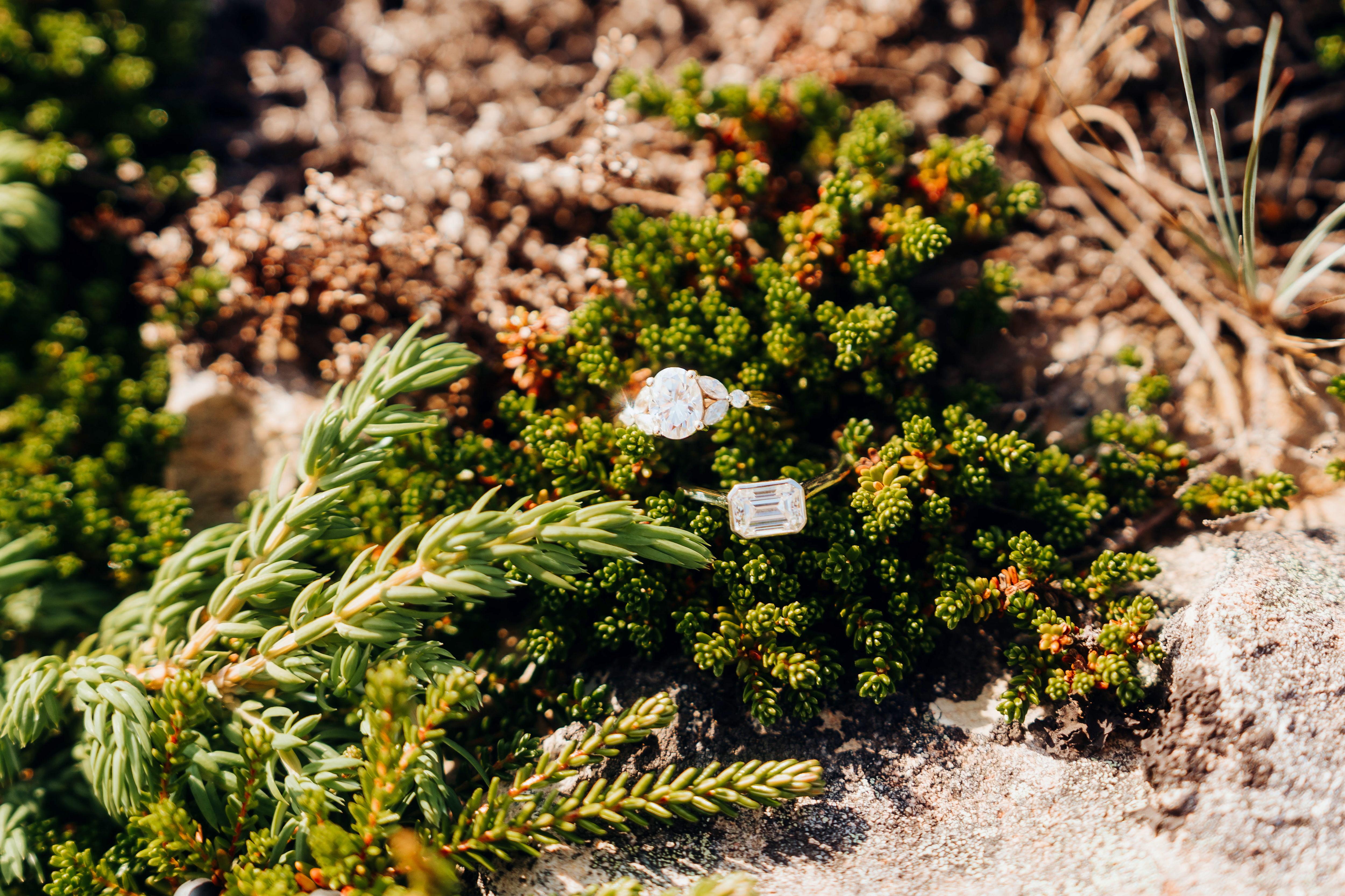 The Wedding Website of Emily Harris and Katie Hanrahan