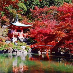 Kyoto Temples and Castles admission