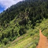 Mount Galbraith Park