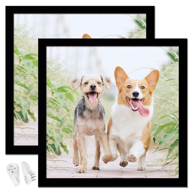 icariery 12x12 Picture Frame Set of 2, Black Square Photo Frames High Transparent Wall Gallery Desktop Horizontal Vertical for Canvas Collage Photo Poster Certificate 12 x 12 inches