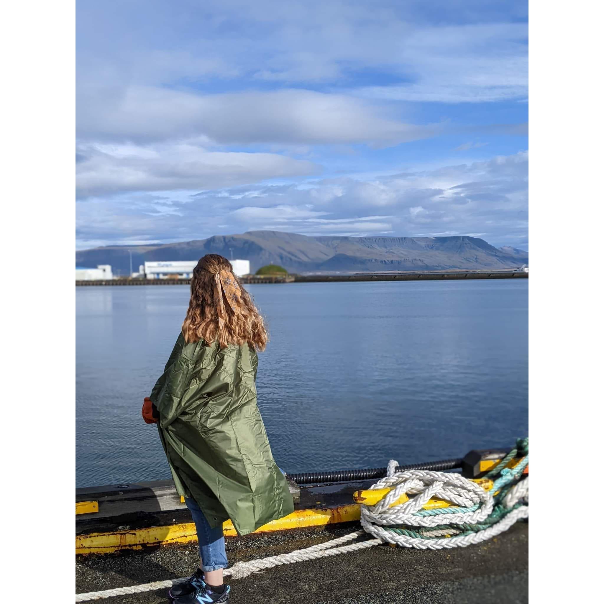 Reykjavik port, Iceland