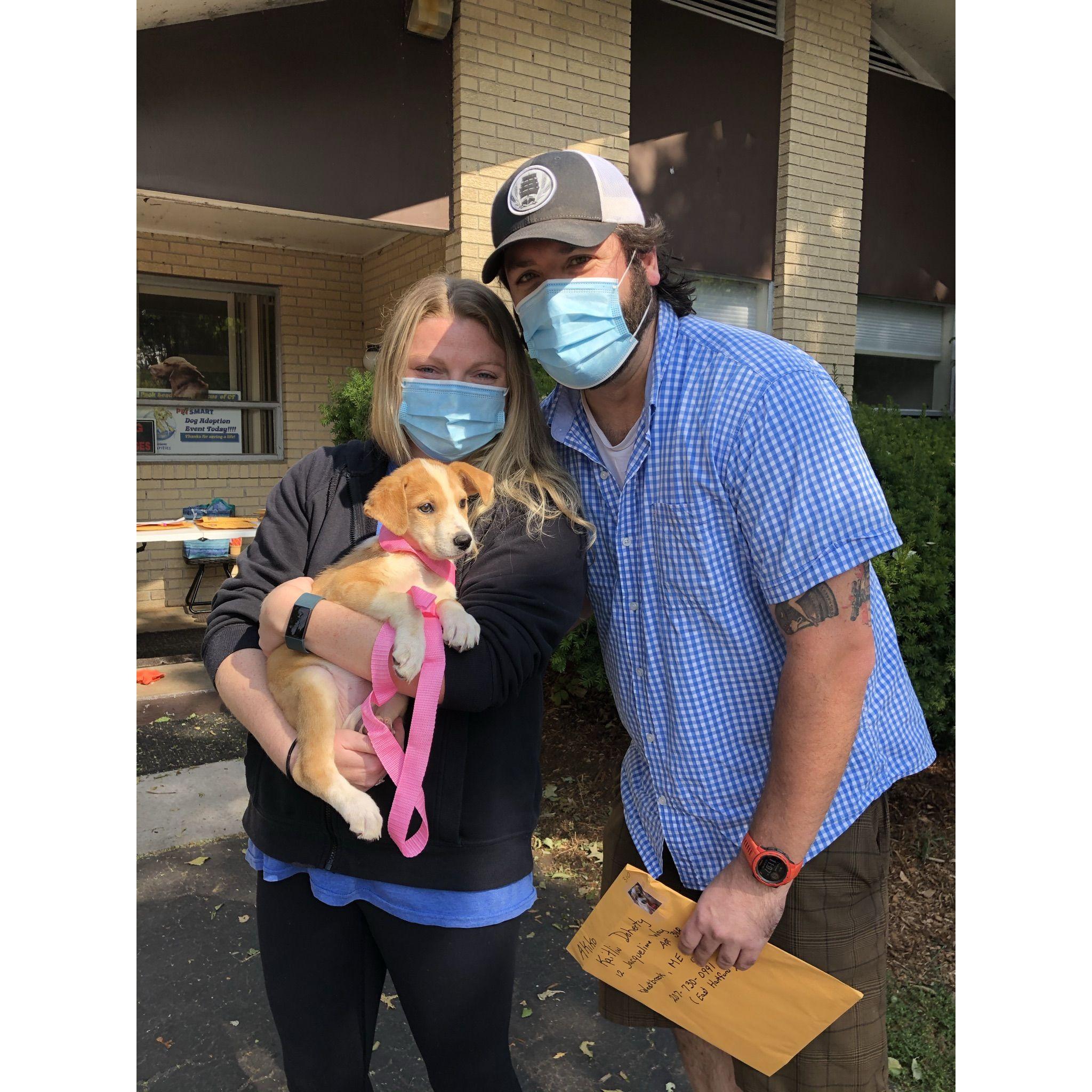 The day we got Akiko Sept. 2020!