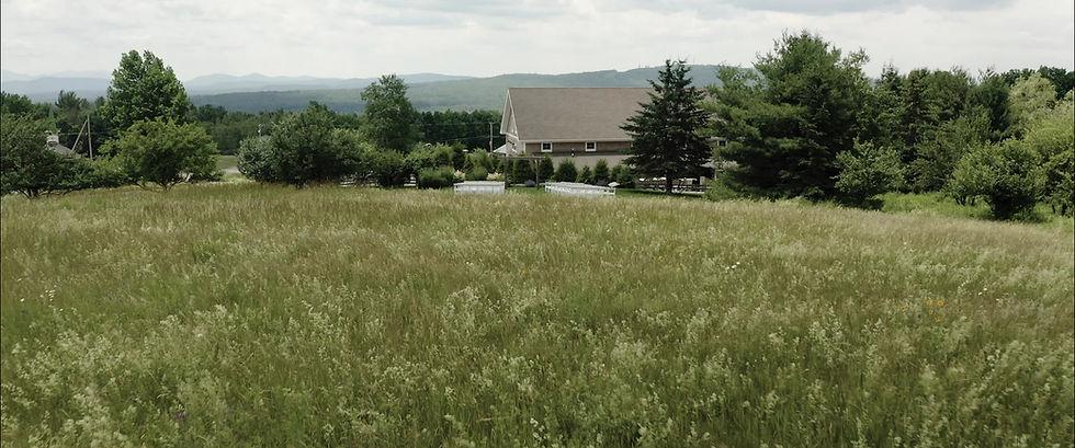 The Wedding Website of Connor Ward and Isabella Hernandez