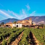 El Cielo Winery & Resort ( Viñedo )