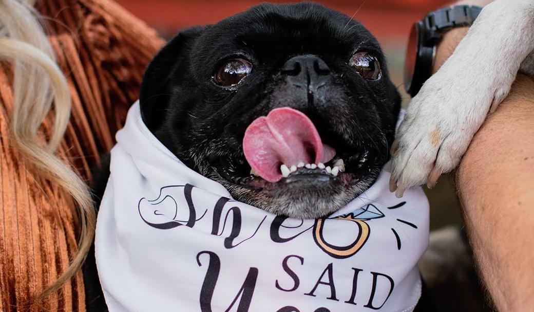 The Wedding Website of Casey Hamilton and Andrew Matrogran